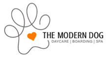The Modern Dog - Kitchener - ToyBox